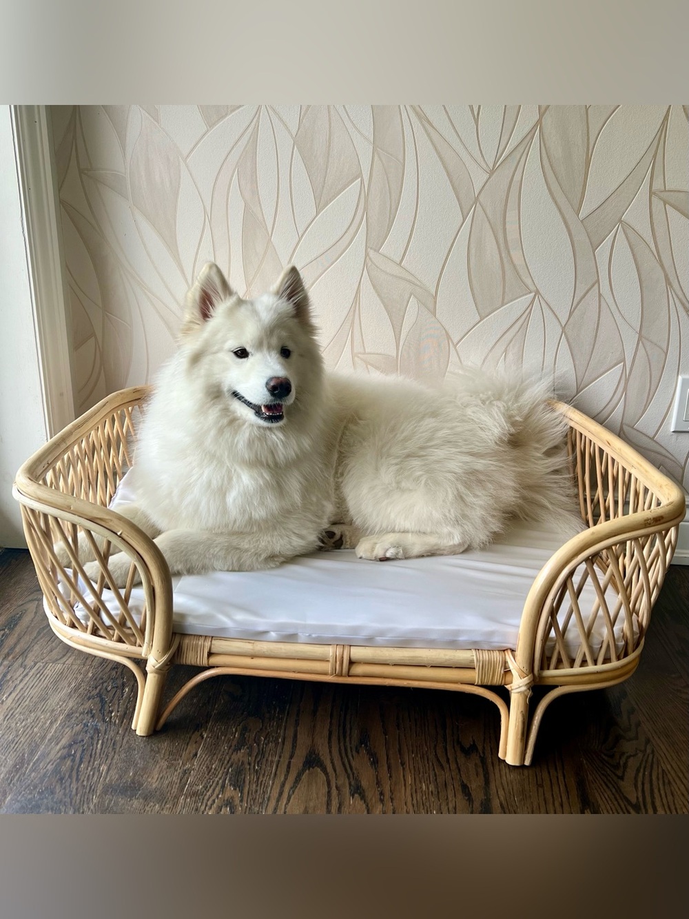 LARGE - Unique Handmade Bamboo pet bed with cushion ( removable cover)